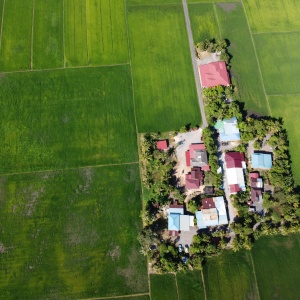 Alt text: Aerial image of green land parcel with small cottages amidst rice fields. Photo by Alor Setar via Pexels.