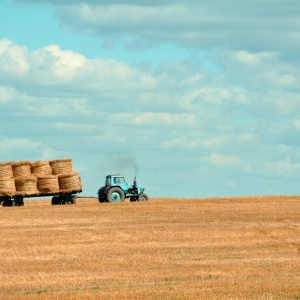 Image of a tractor collecting bales of hay. Photo by Gozha Net via Unsplash.