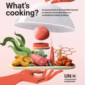 UN report cover of a hand serving a plate of animal product alternatives. Title: What's Cooking? An assessment of potential impacts of selected novel alternatives to conventional animal products