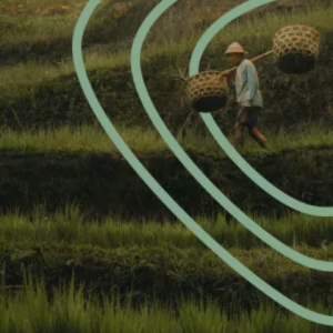 Image of a farmer carrying two baskets surrounded by the Food Systems Economic Commission symbol.