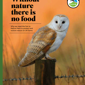 Image: front cover of Fair to Nature report titled “without nature there is no food”