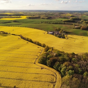 An aerial view of an agricultural landscape with pastures, fields of oil rape seed and forests. Photo by rainerh11 via pixabay