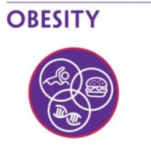 Book front cover titled Understanding Obesity by Stanley Ulijaszek