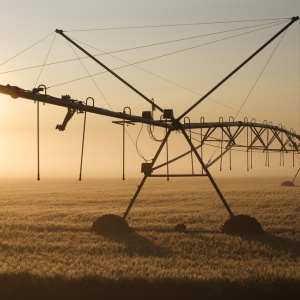 Photo: Chris Happel, irrigation at dawn, Flickr, Creative Commons License 2.0 generic.