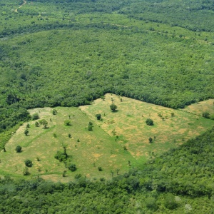 Amazon land use by CIAT via Flickr