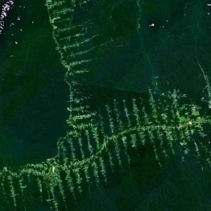 Image: NASA, Deforestation in Amazonia, seen from satellite, Wikimedia Commons, Public Domain