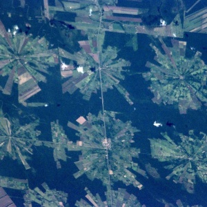 Image: NASA, NASA photo of deforestation in Tierras Bajas project, Bolivia, from ISS on April 16, 2001, Wikimedia Commons, Public Domain